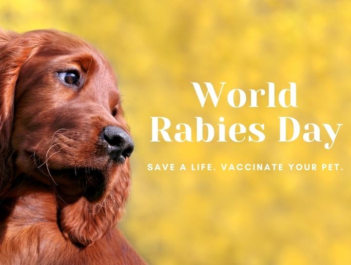 World Rabies Day | Beverly Hills Small Animal Hospital